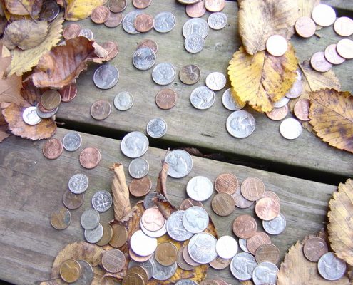 collection of coins with leaves around it