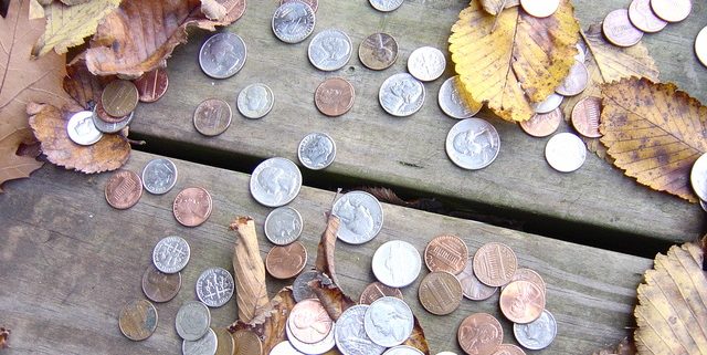 collection of coins with leaves around it